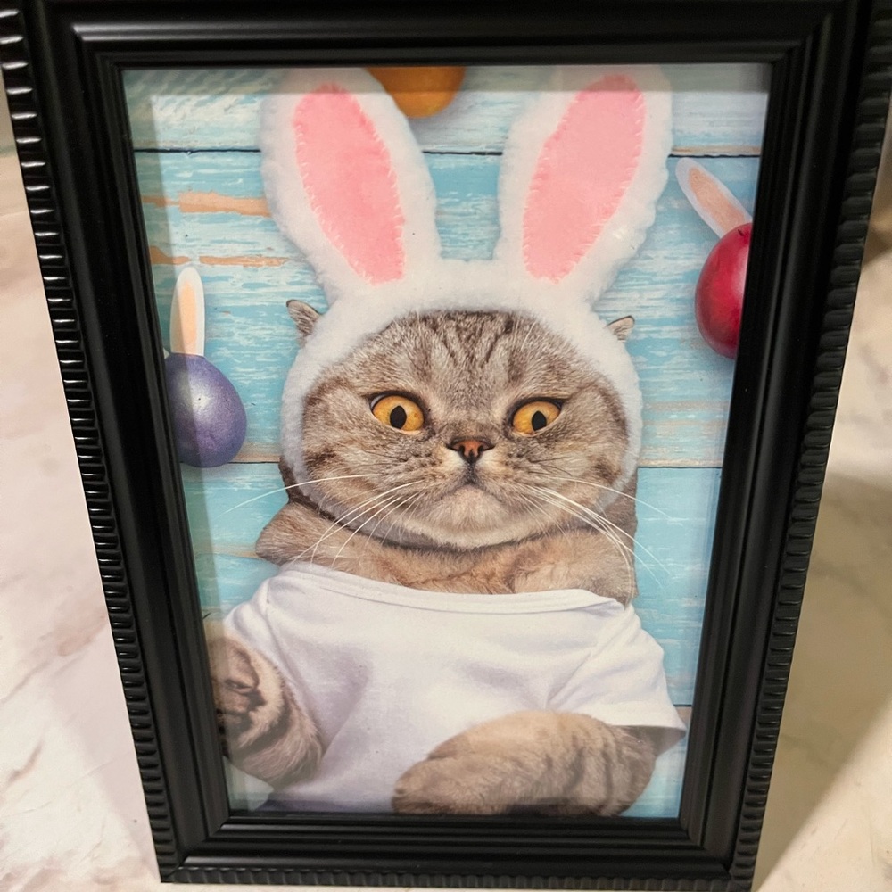 Framed art/photos cute Easter bunny kitty 6x4 inches, black brand new frame